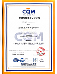 環(huán)境管理體系中文